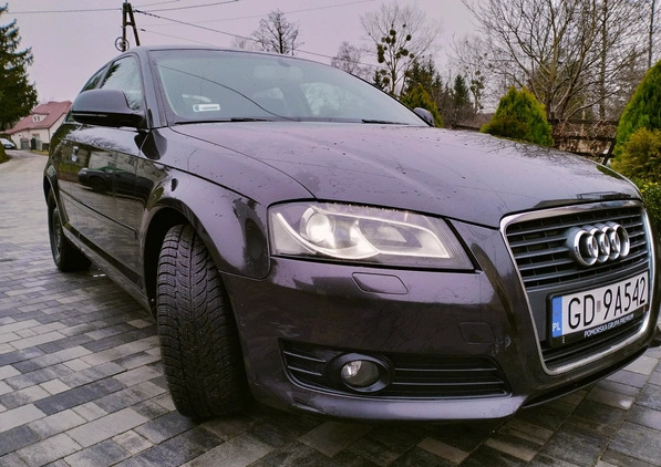 Audi A3 cena 16900 przebieg: 320000, rok produkcji 2008 z Karczew małe 466